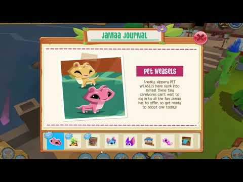 Jamaa Journal Weekly Update (08-Sept) | Pet Weasels | Animal Jam Play Wild