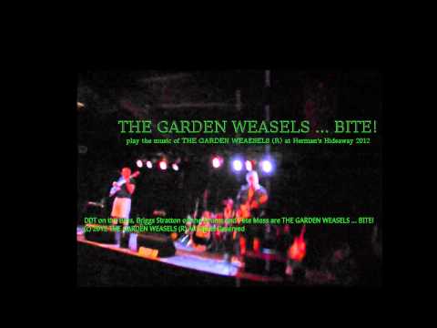 THE GARDEN WEASELS BITE!  BLAH BLAH BLAH IT MEANS NOTHING at HERMANS HIDEAWAY All Rights Reserved TH