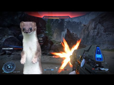 Out Maneuvering People Like Weasels-Halo Infinite