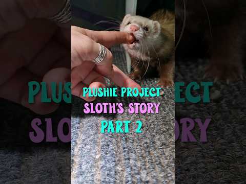 When a ferret wants to show you something: poor rejected Sloth? #ferrets #shorts #short #shortvideo