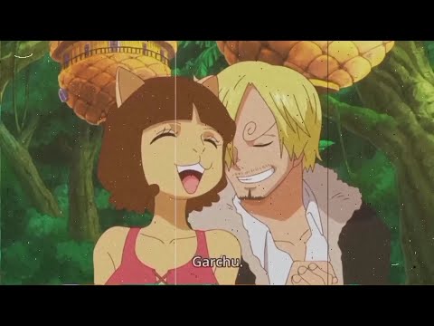 The Mink Tribe Was a Mistake&Why Does Sanji Simp For Animals Now? Why Is Sanji A Cyborg? (One Piece)
