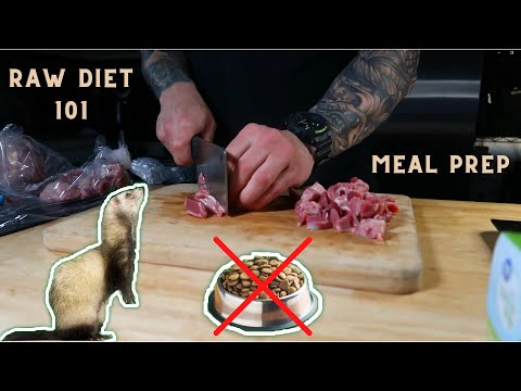 Ferret Raw Diet & Meal Prep 101