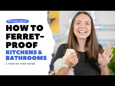 Ferret Proof : Your Kitchen and Bathroom