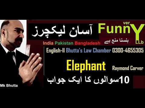 Elephant  Raymond Carver QA Summary | in Hindi Urdu | OA Level LLB Part 2 English| Bhutta Academe