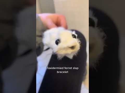 how to get free Ferret slap Bracelet