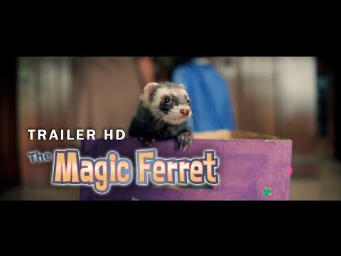 The Magic Ferret Trailer HD