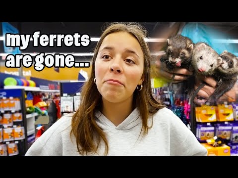 Aydah tells the TRUTH about her ferrets and Rory goes back 2 school shopping!!
