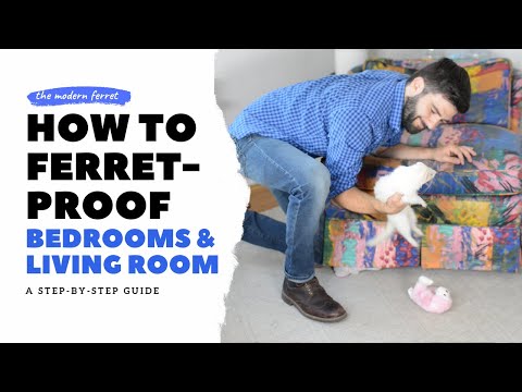 Ferret Proof : Your Bedroom and Living Room
