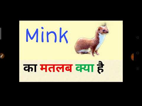 Mink meaning in hindi || mink ka matlab kya hota hai || word meaning english to hindi